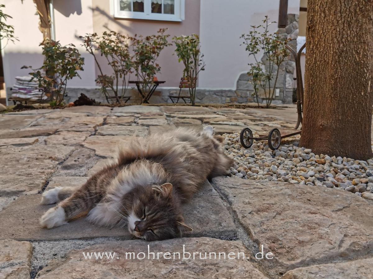 Hotel Mohrenbrunnen Eisenberg  Kültér fotó